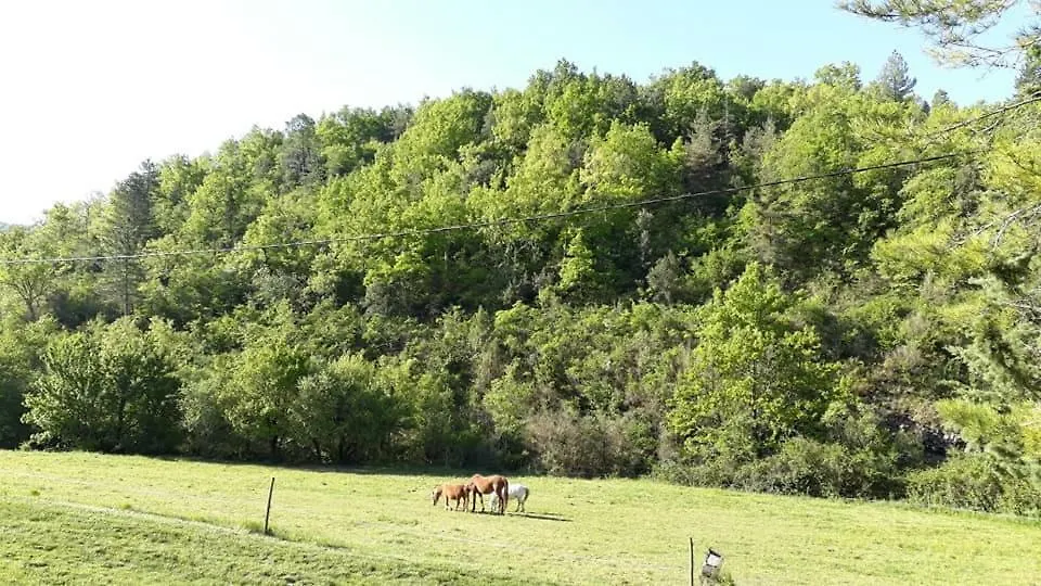 Ferienhaus Gites Du Domaine De Serre Long Saint-Maurice-dʼIbie Frankreich